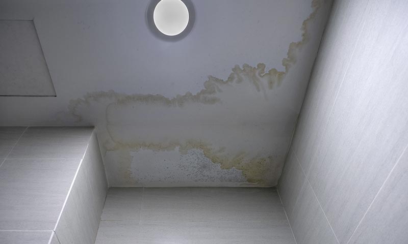 Water & Mold Damage